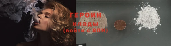 прущие грибы Вязьма
