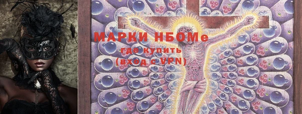 прущие грибы Вязьма