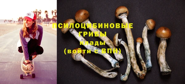 не бодяженный Волоколамск