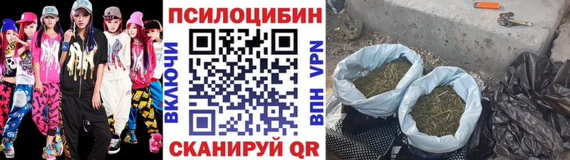 Псилоцибиновые грибы Cubensis  Купить где  Краснокаменск 
